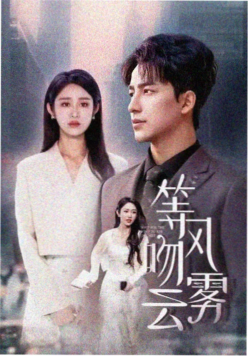 年代剧集风起南洋海报